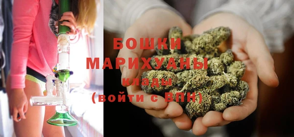 мдпв Бронницы