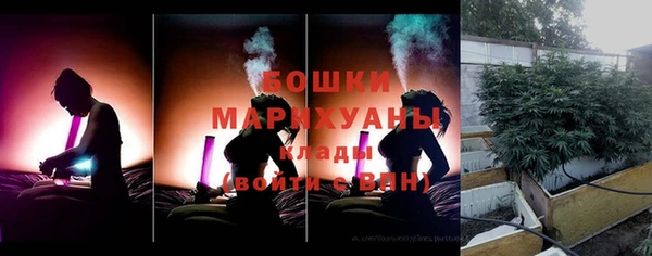 мдпв Бронницы