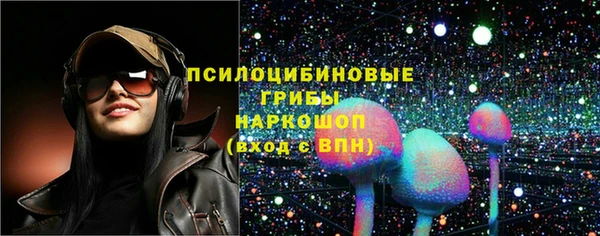 герыч Бородино