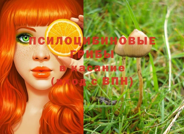 герыч Бородино