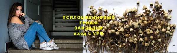 герыч Бородино