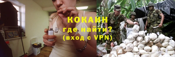 мдпв Бронницы