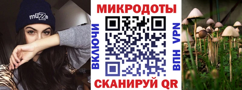 ссылка на мегу зеркало  наркотики  Нарьян-Мар  Псилоцибиновые грибы мухоморы 